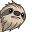 Logo Sloth Projects